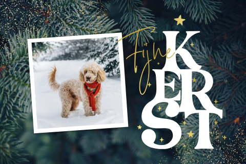 Kerstkaart met foto en kerstboom en gouden spetters