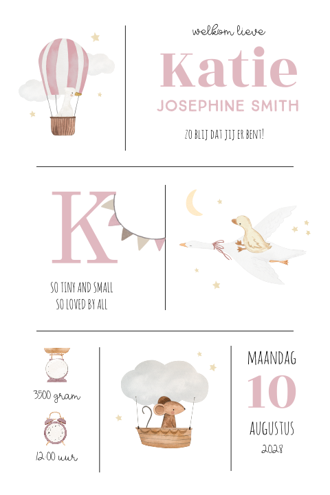 Lief geboortekaartje meisje met dieren en luchtballonnetjes