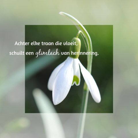 Een condoleancekaart met sneeuwklokje