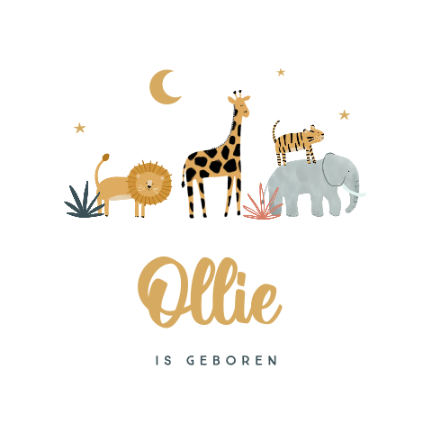 Vrolijke raamsticker voor geboorte zoon