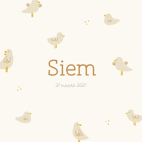 Geboortekaartje lente met vogeltjes in beige