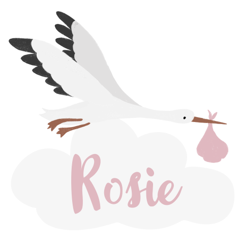 Raamsticker geboorte roze in unieke vorm met ooievaar