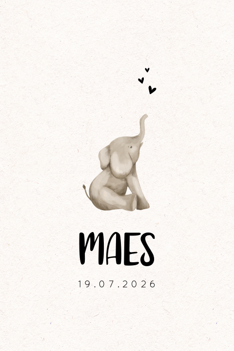 Geboortekaartje met schattig olifantje 