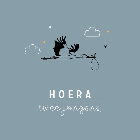 Schattige wenskaart voor een tweeling met leuke ooievaar illustratie