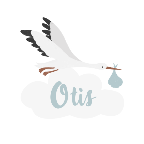 Raamsticker geboorte blauw met ooievaar