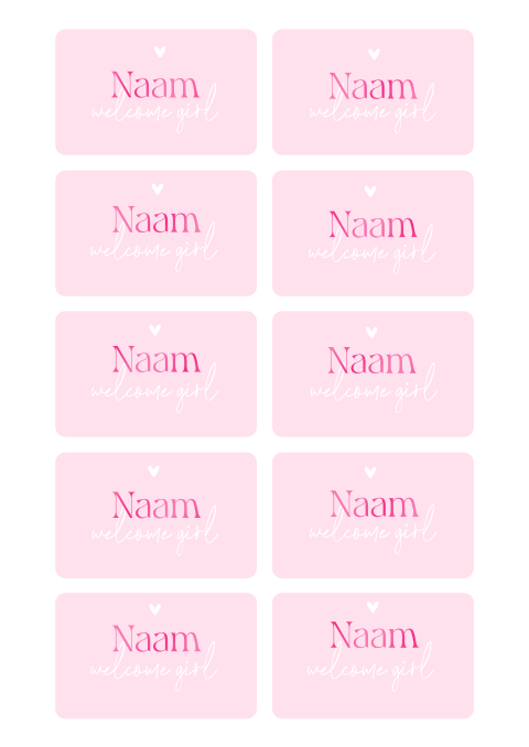 Naamkaartjes 21 diner roze met hoogglans
