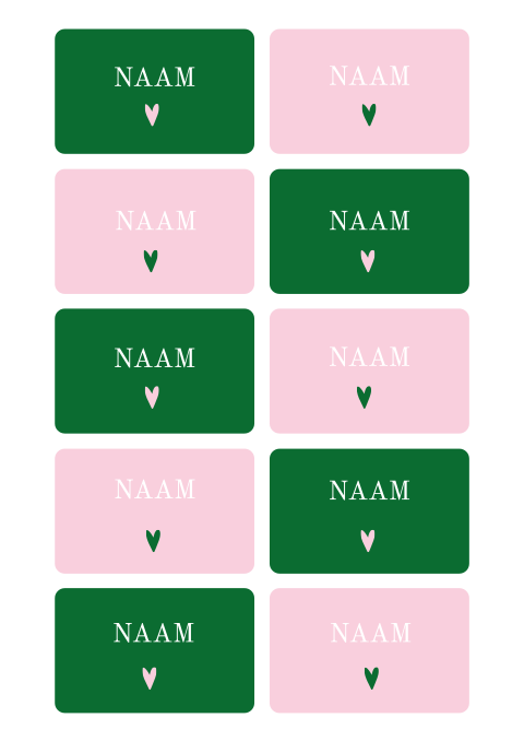 Naamkaartjes 21 diner trendy roze groen