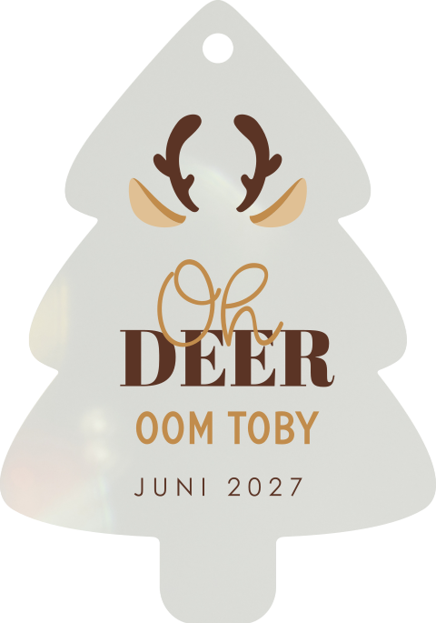 Zwangerschapsaankondiging aryl kerst hanger met rendier illustratie