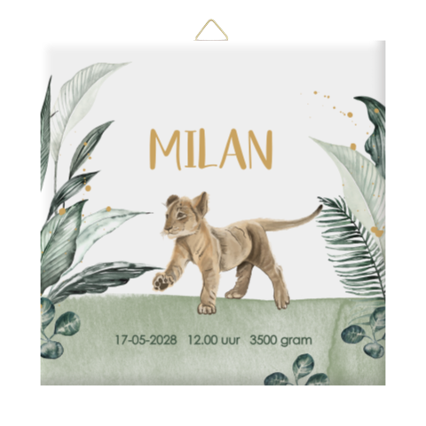 Geboortetegel jongen met leeuw