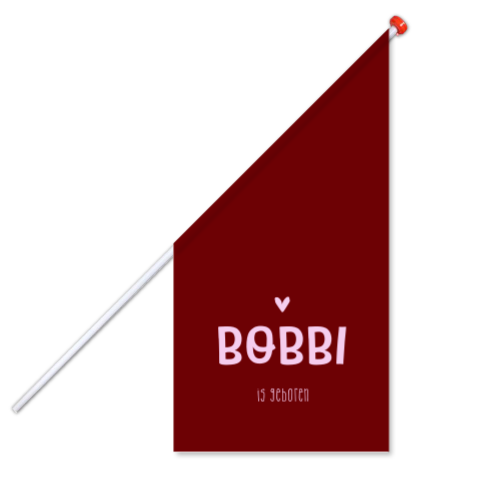 Geboortevlag in colorblocking trendkleuren