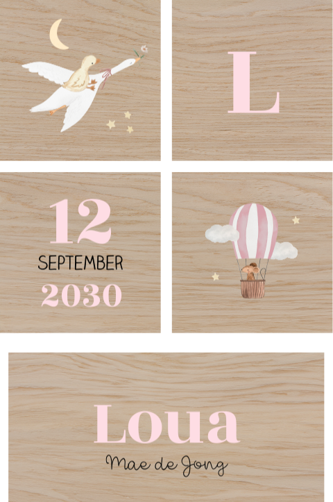 Houten blokken met naam een luchtballon en een eendje