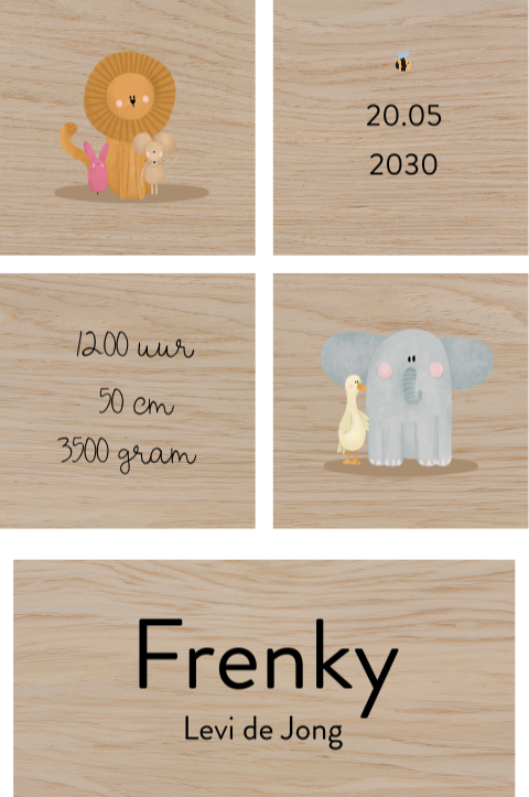 Houten blokken met naam en dieren illustraties