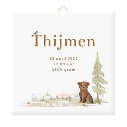 Geboortetegel met schattig beertje en vogeltje