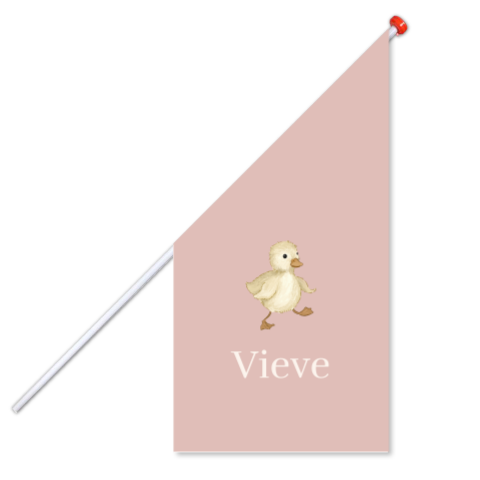 Geboortevlag in roze met schattig eendje