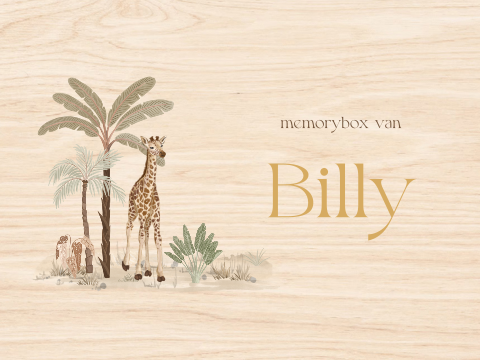 Memorybox baby met giraf in de jungle