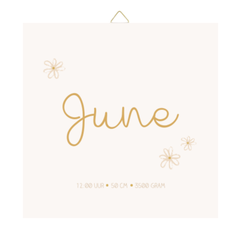 Geboortetegeltje meisje met madeliefjes