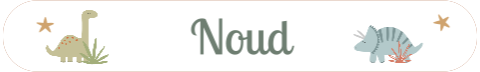 Naamsticker klein met dino's - 20 per vel