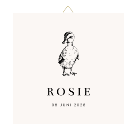 Geboorte tegeltje met illustratie van eendje