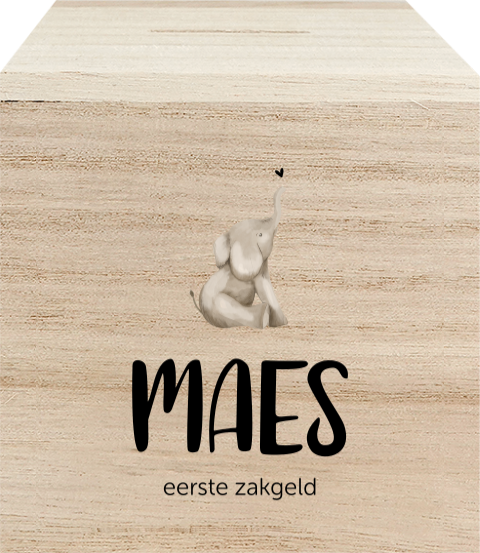 Houten spaarpot met naam en olifantje