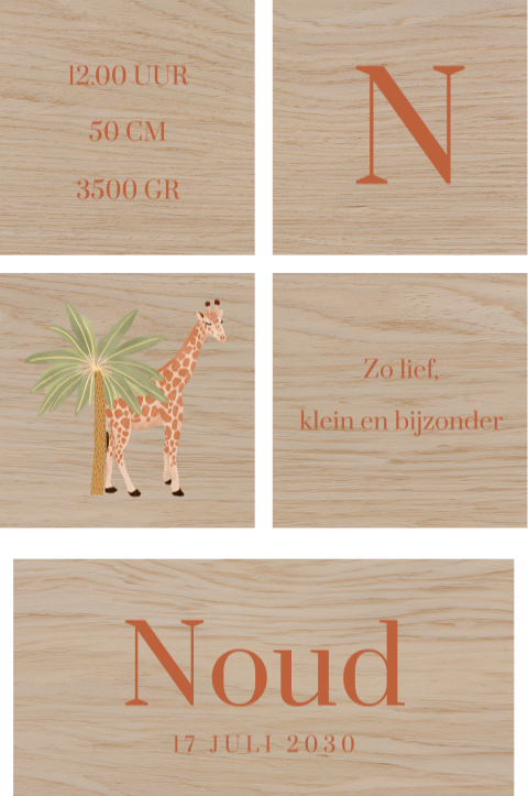 Geboorteblokken met giraffe en geboortegegevens