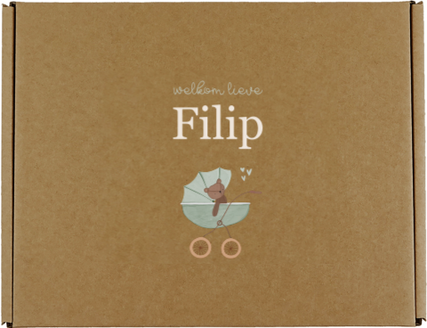 Cadeaudoos baby met kinderwagen en beertje