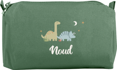 Etui met dino's en naam