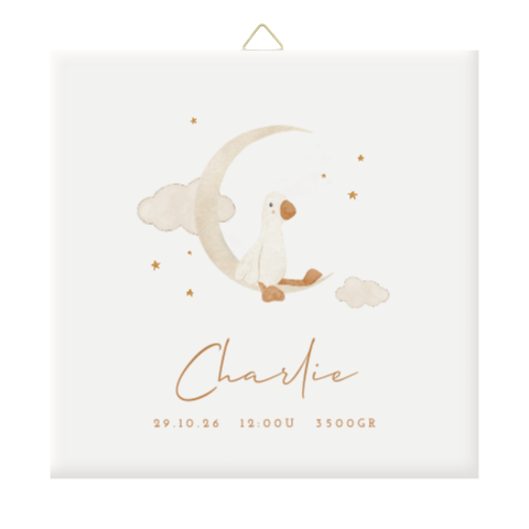 Geboorte tegeltje met eendje en maan