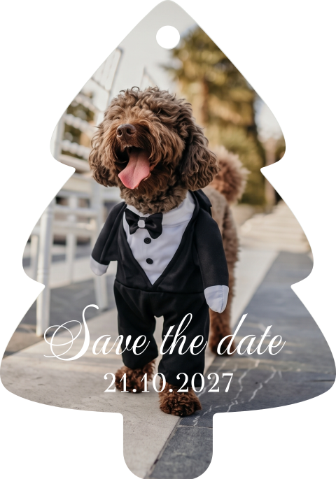 Save the date acryl kersthanger met foto huisdier