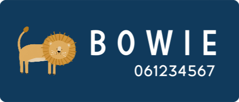 Naamsticker groot met leeuw - 20 per vel