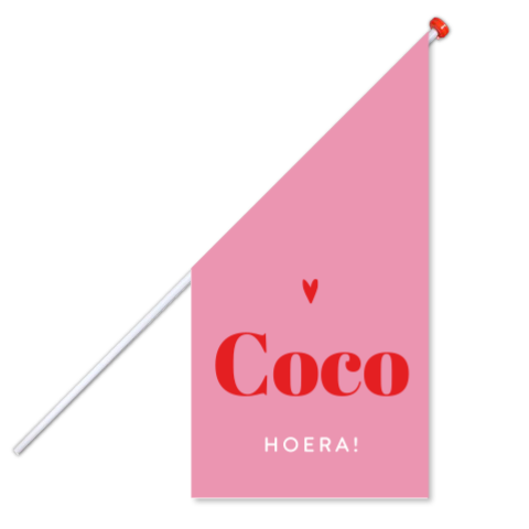Geboortevlag meisje in rood en roze colorblocking