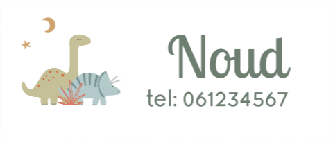 Naamsticker groot met dino's - 20 per vel