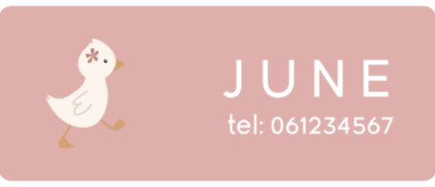 Naamsticker medium met eendje - 20 per vel