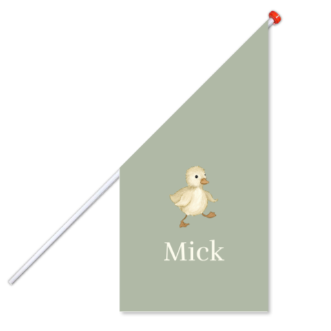 Geboortevlag in groen met schattig eendje