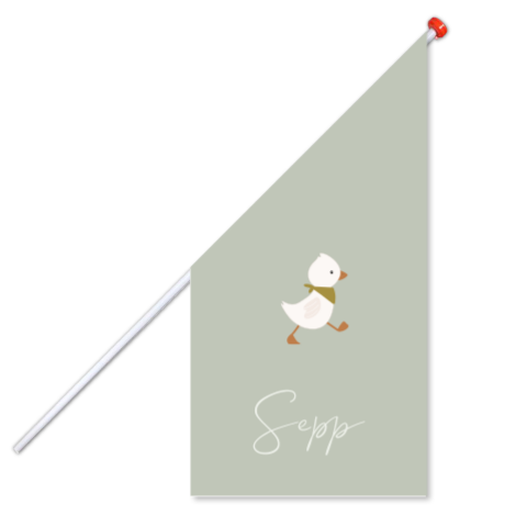 Geboortevlag jongen met schattig eendje