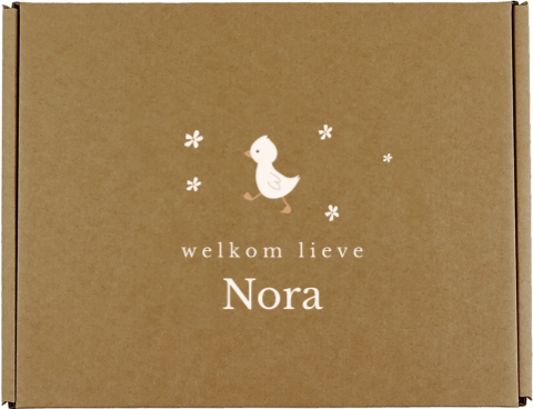 Cadeaudoos kraamcadeau met eendje en bloemetjes