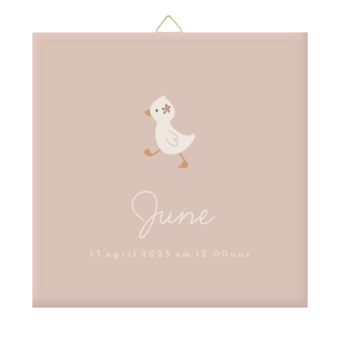 Geboortetegel meisje roze met eendje