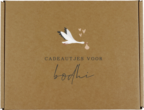 Cadeaudoos baby met ooievaar