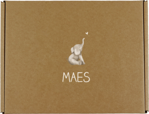 Cadeaudoos met naam en olifantje