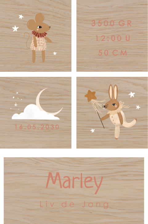 Houten blokken met naam, muisjes en geboortegegevens