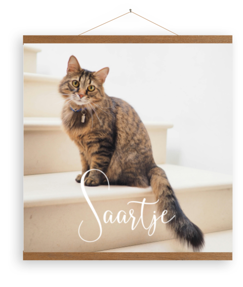 Canvasposter met eigen foto tussen latjes