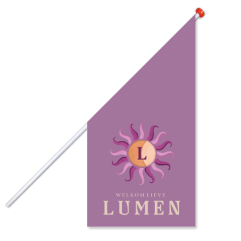 Geboortevlag paars met zon