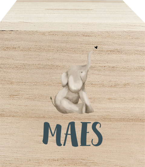Houten spaarpot met naam en olifantje