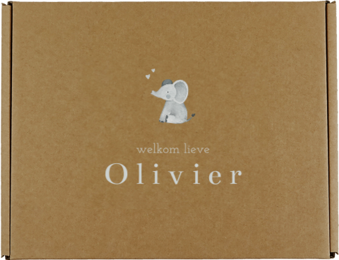 Baby cadeaudoos met olifantje