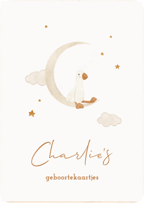 Houten bewaarbundel met maan, eendje en sterretjes