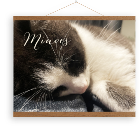 Canvas poster met foto zelf maken | liggend