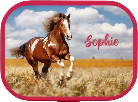 Mepal lunchbox Campus met naam en paard