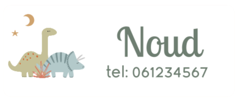 Naamsticker medium met dino's - 20 per vel
