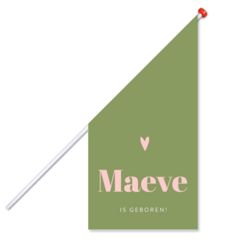 Geboortevlag colorblocking groen en roze met hartje