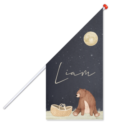 Geboortevlag met naam en beertje in de nacht