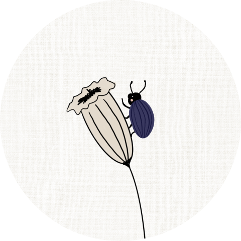 Sluitzegel met bloem en kever
